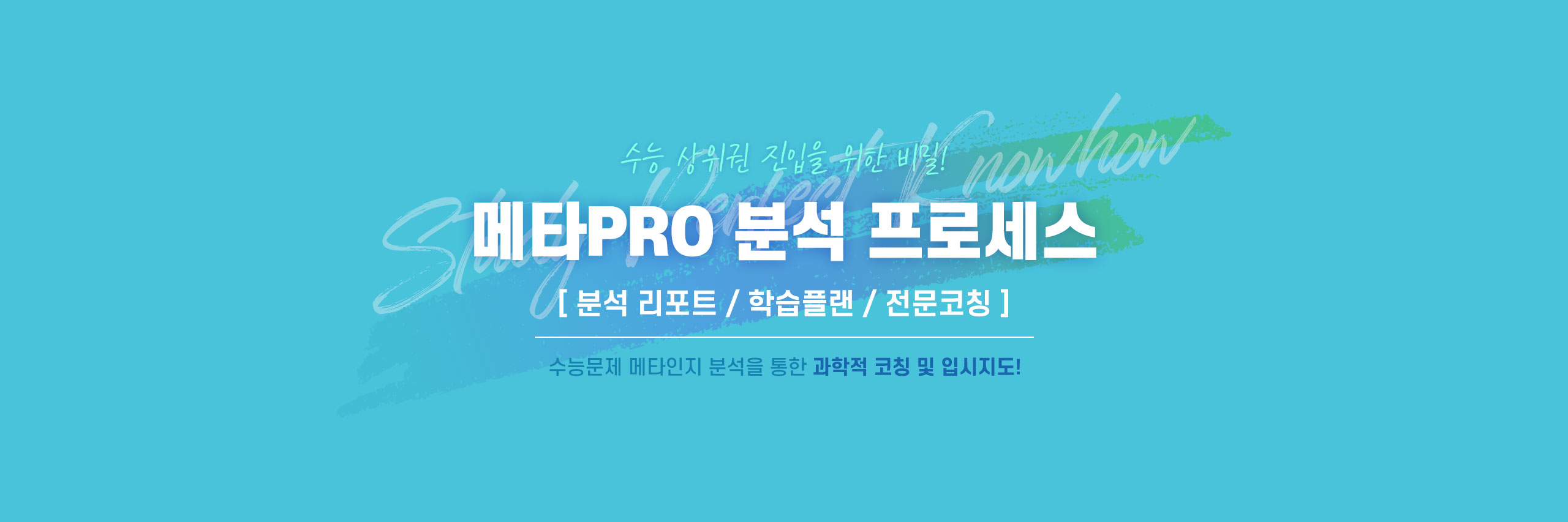 메타PRO 분석 프로세스